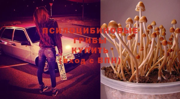 шишки Армянск