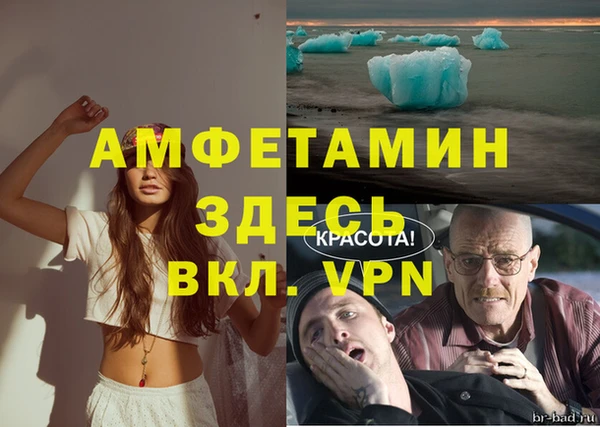 шишки Армянск