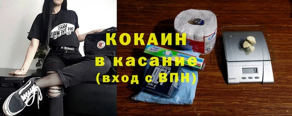 шишки Армянск