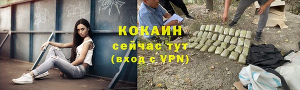шишки Армянск