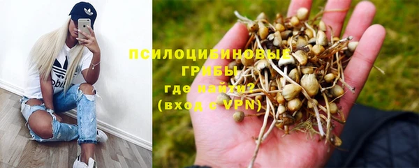 экстази Арсеньев
